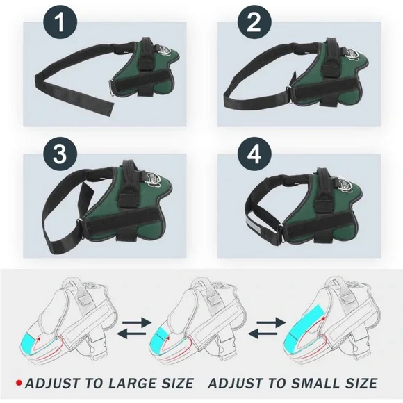 New Bolux Dog No-Pull Harness and Stretch Dog Leash, Medium - Picture 4 of 9